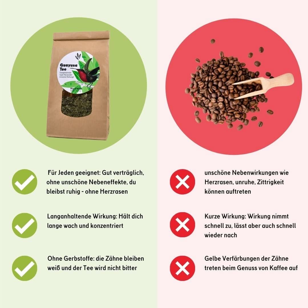 Guayusa Chai Tee - Würzige Energie aus der Natur - BIO - Happy420.de